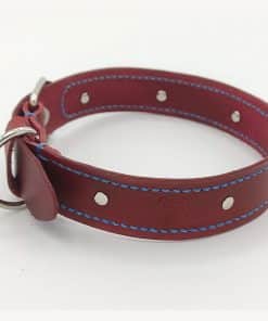 Collar nº 2