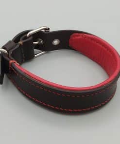 Alternative view of Collar nº3
