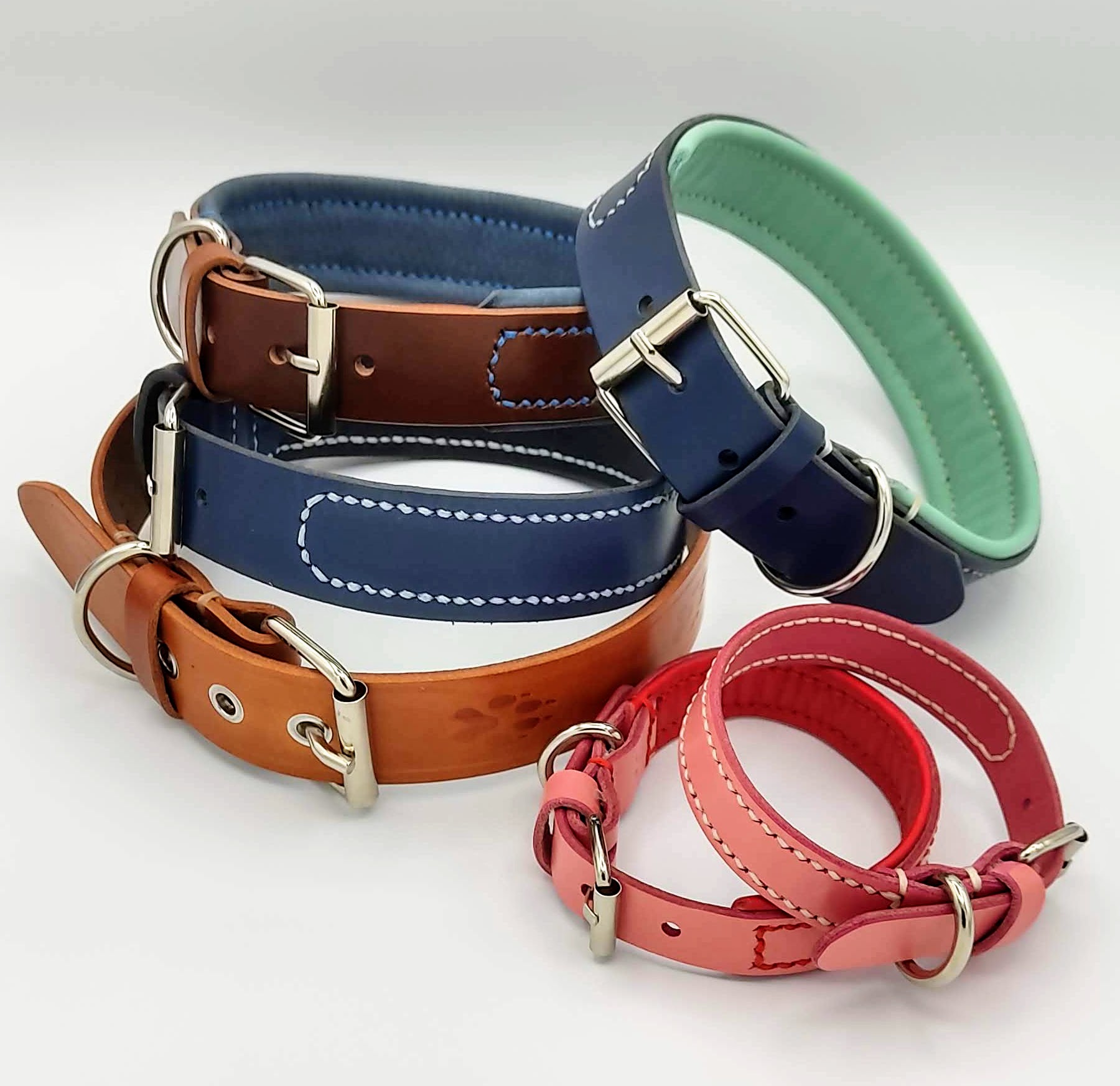 foto collares para perros