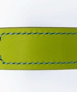 Alternative view of Collar nº 2
